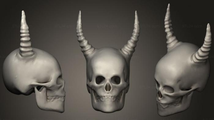 Anatomy of skeletons and skulls (Ebisu mask, ANTM_0399) 3D models for cnc